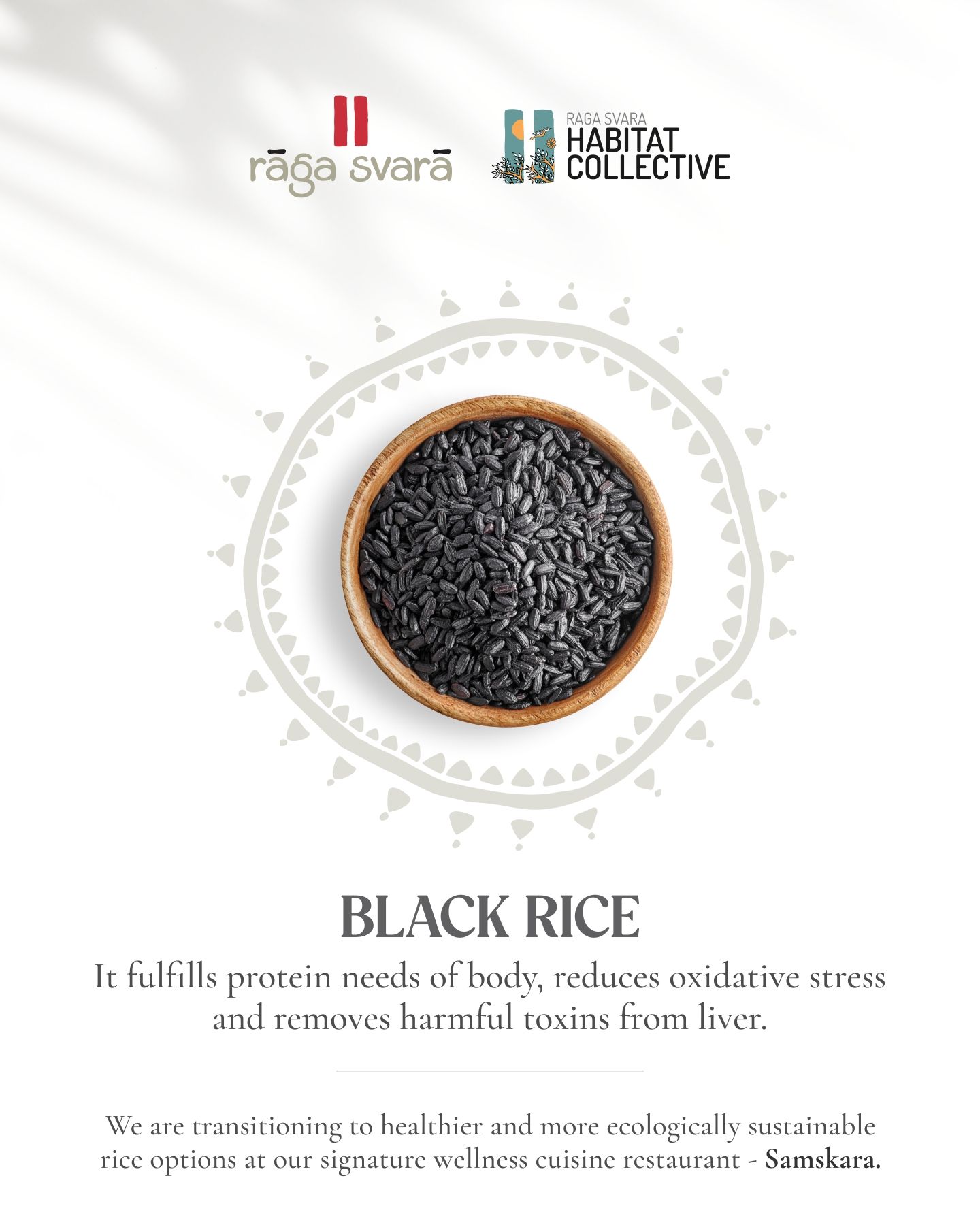 Discover the Benefits of Black Rice