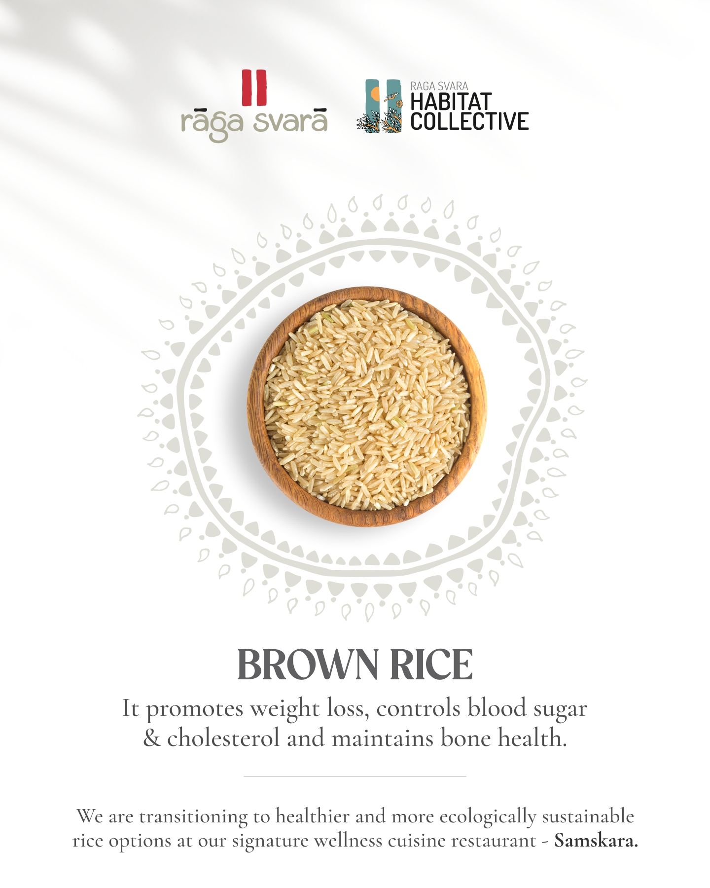 The Goodness of Brown Rice