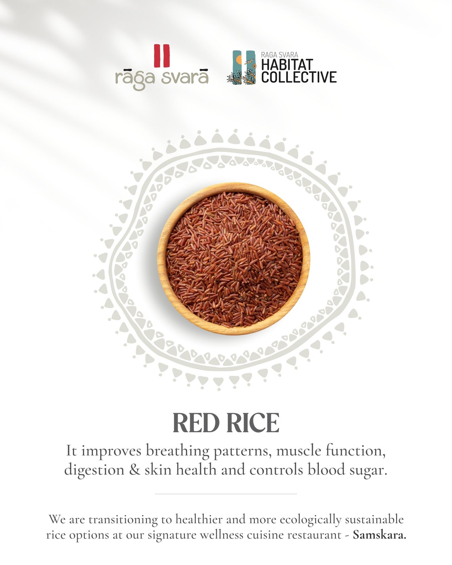 Red Rice: Powerful Health Booster