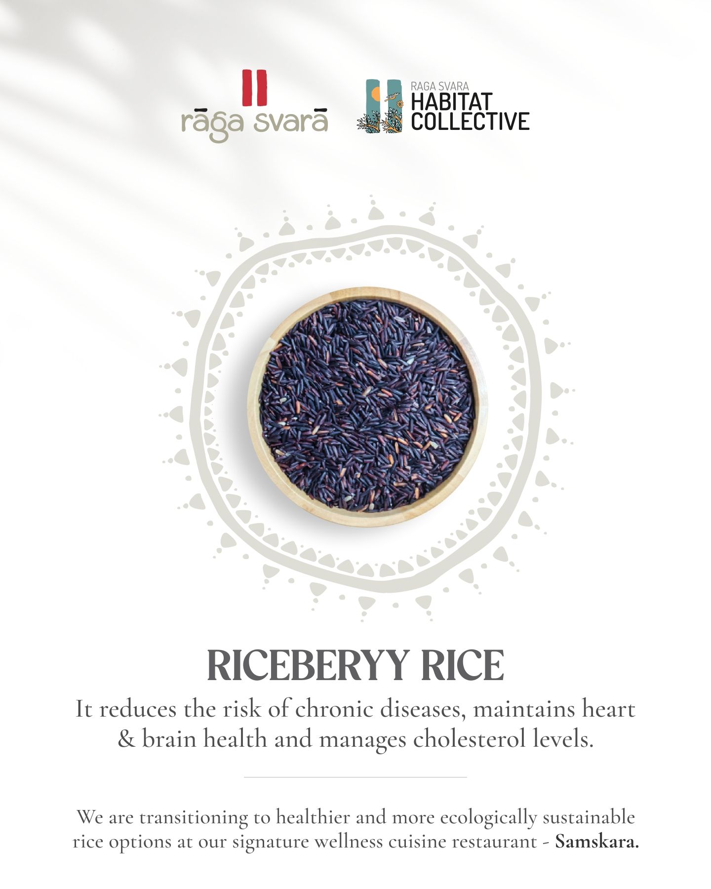 Riceberry Rice: Nutrient Packed Superfood