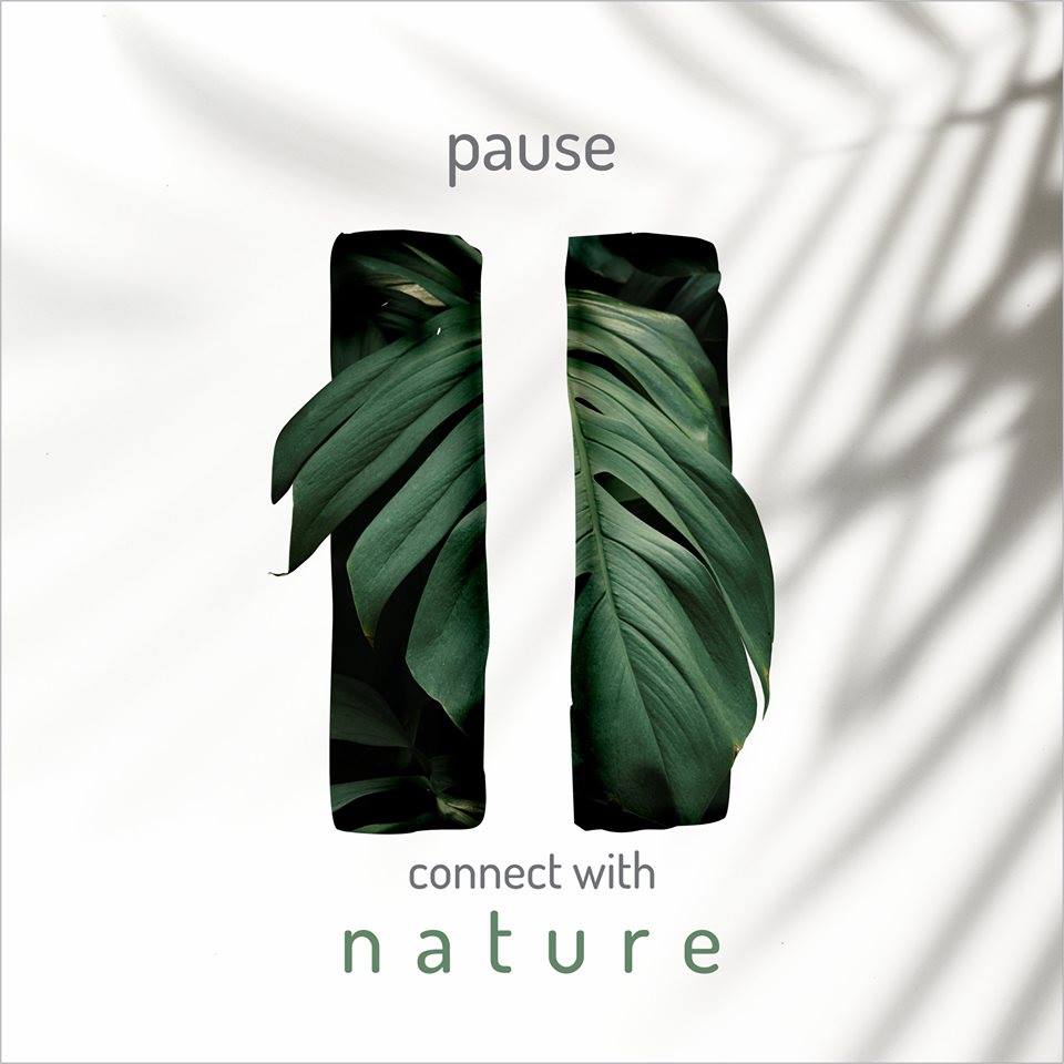 “PAUSE” And Connect With Nature