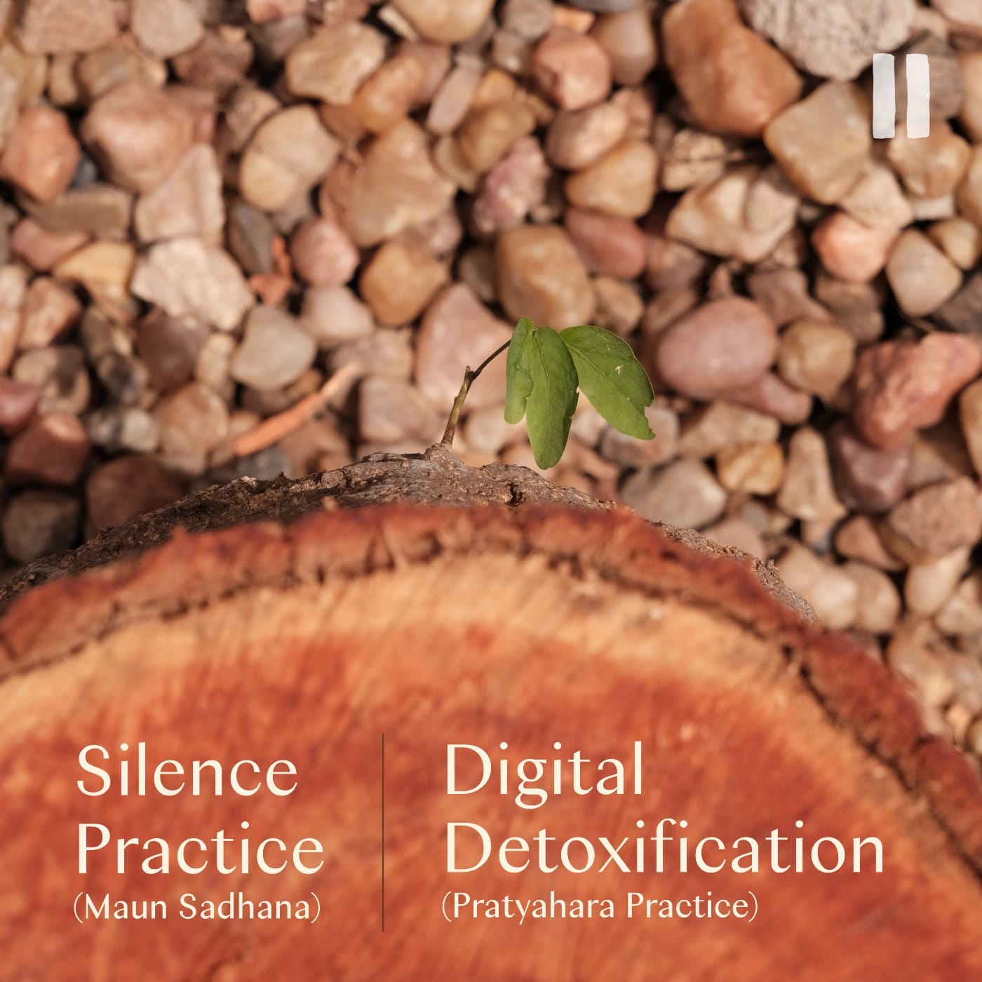 Raga Svara introduces Silence and Digital Detox as core elements of the guest experience