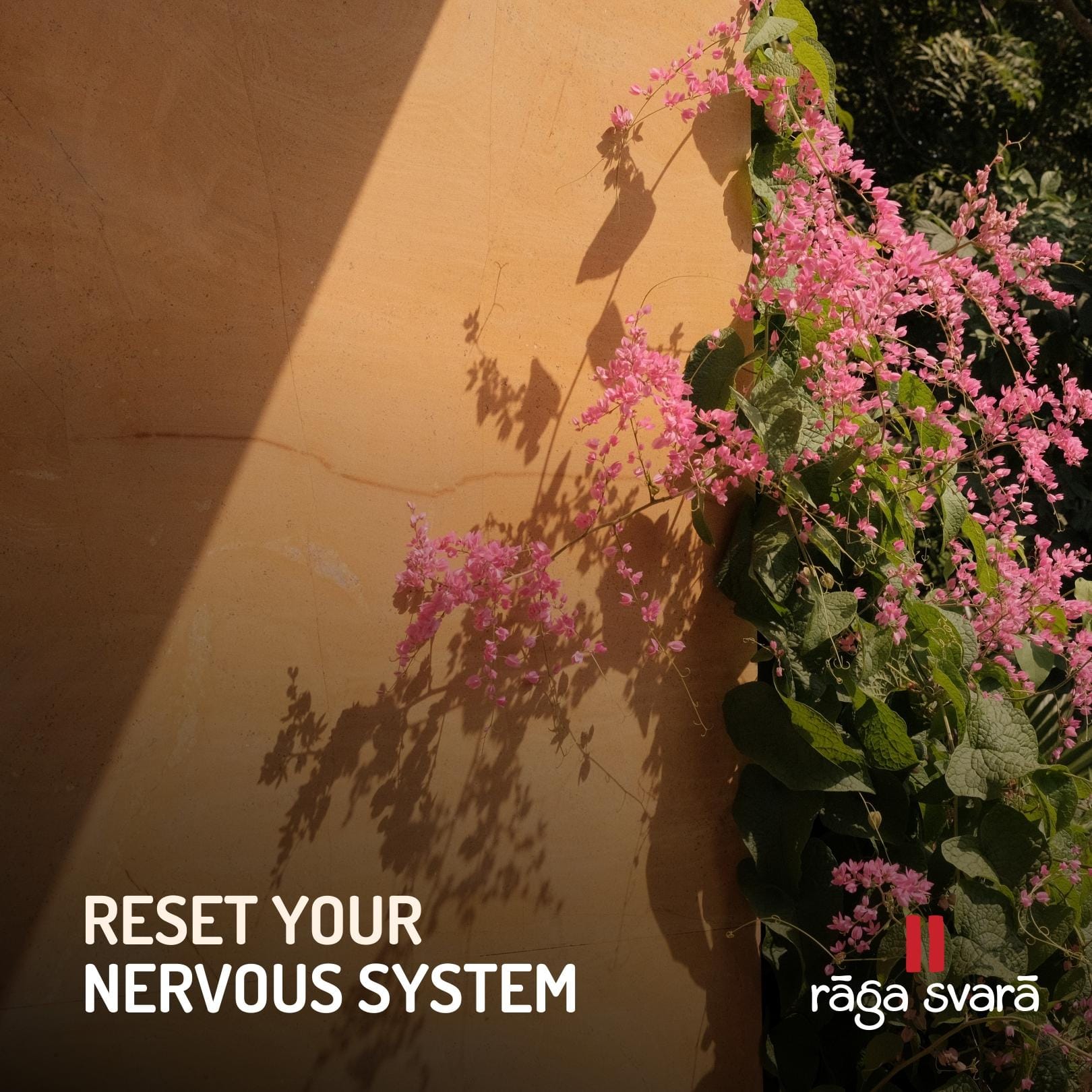 Reset Your Nervous System